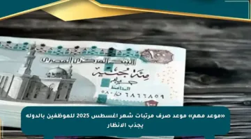 «موعد مهم» موعد صرف مرتبات شهر أغسطس 2025 للموظفين بالدولة يجذب الأنظار